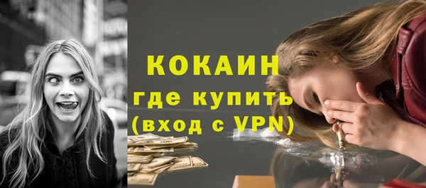 молекула духа Няндома