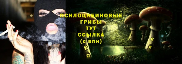 соль ск Нязепетровск
