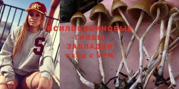 соль ск Нягань