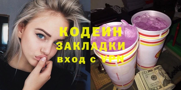 молекула духа Няндома