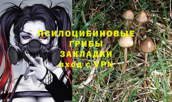 соль ск Нягань