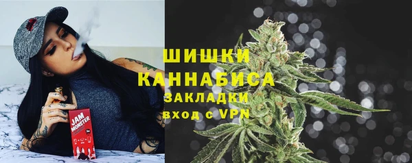 молекула духа Няндома