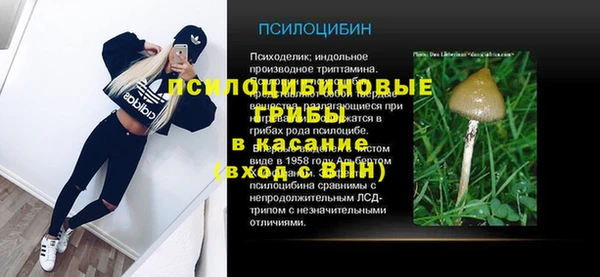 молекула духа Няндома