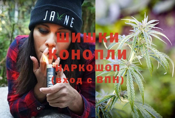 молекула духа Няндома