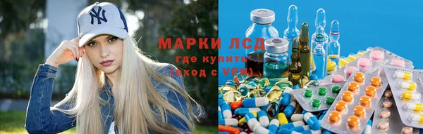 молекула духа Няндома
