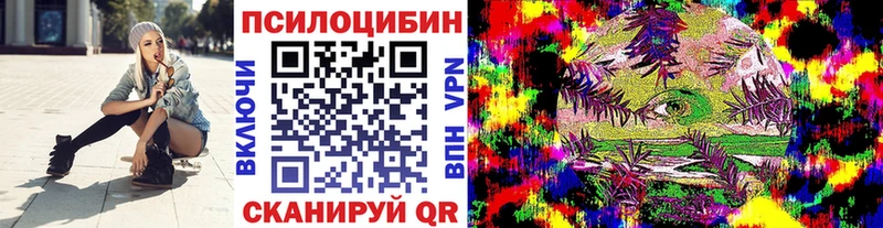 Купить где  Суздаль  Галлюциногенные грибы Psilocybine cubensis 